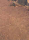 nazca.jpg (10155 bytes)